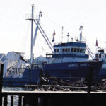 Public meetings scheduled for proposed menhaden regulations